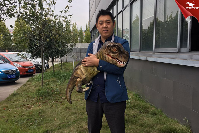 恐龍手偶，抱在手里的恐龍