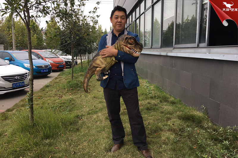 恐龍手偶，抱在手里的恐龍